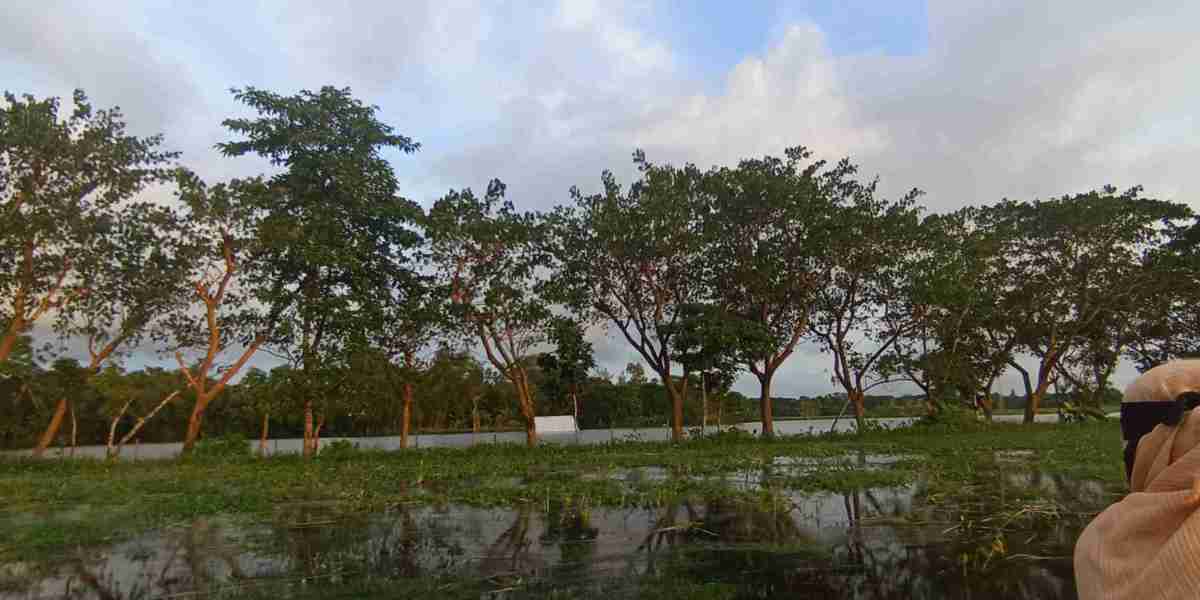নৌকায় ভ্রমণ