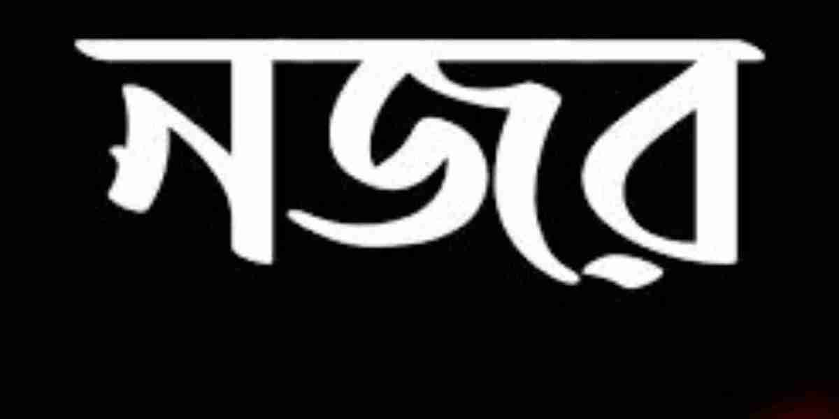 নজর: সৃজনশীলতা ও সমালোচনার দৃষ্টিকোণ