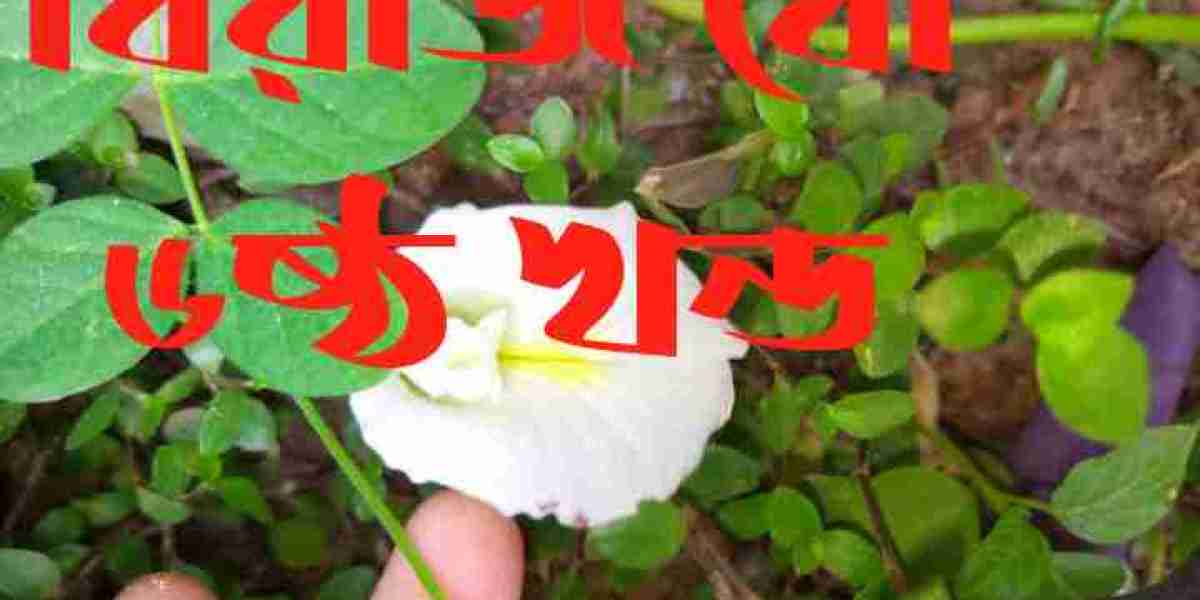 বিরাজবৌ ৬ষ্ঠ খন্ড