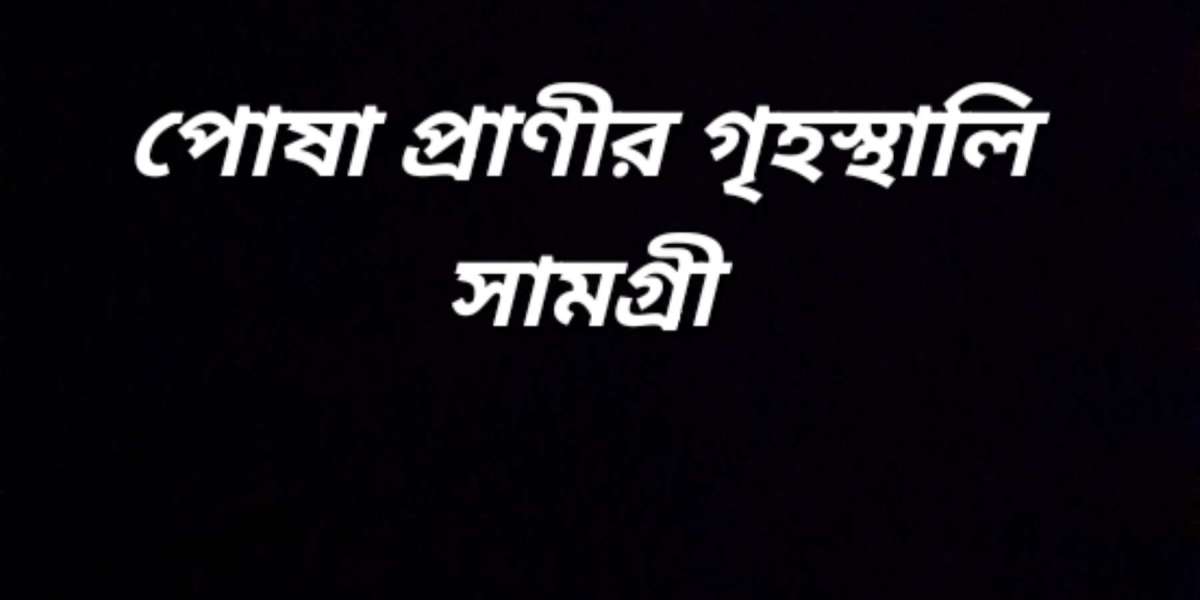 পোষা প্রাণীর গৃহস্থালি সামগ্রী