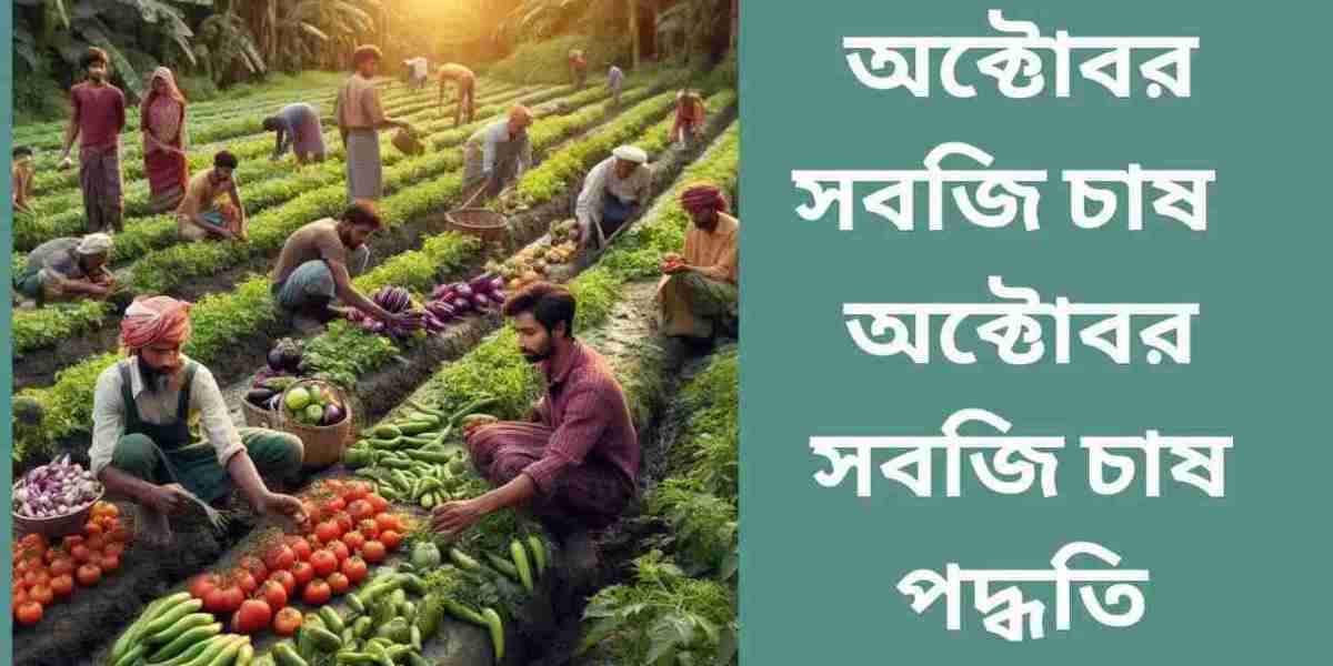 অক্টোবর সবজি চাষ 2023 – অক্টোবর সবজি চাষ পদ্ধতি