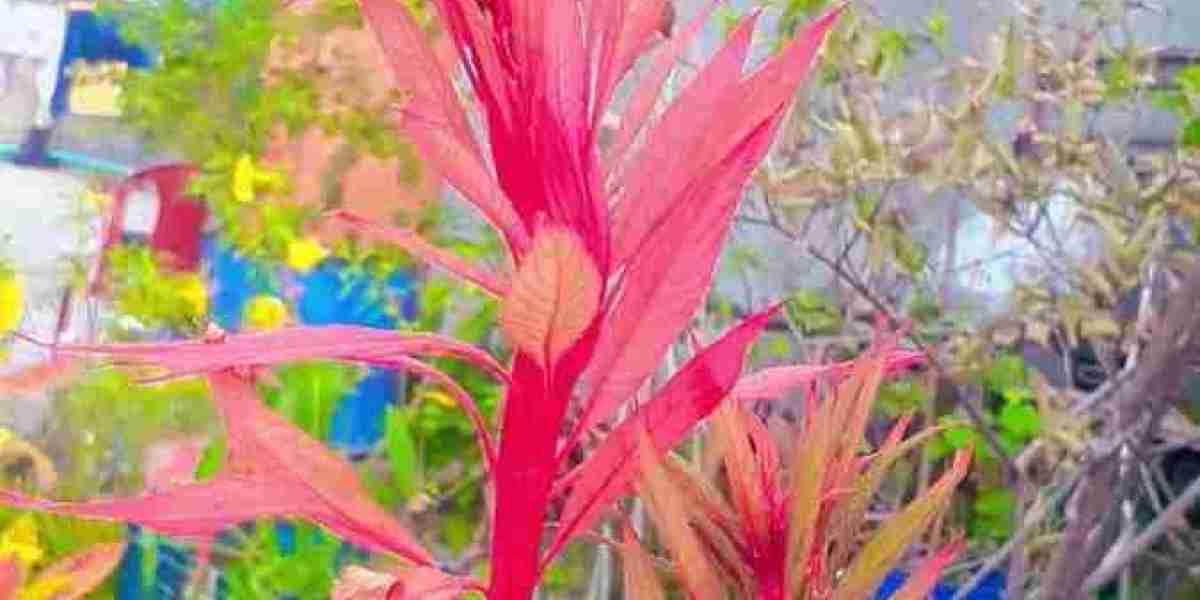 দেনা-পাওনা ১৮তম খন্ড
