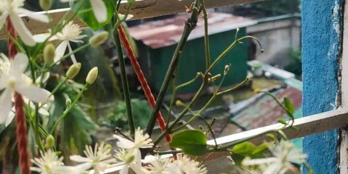নবুয়ত ও হযরত খাদীজা (রা)