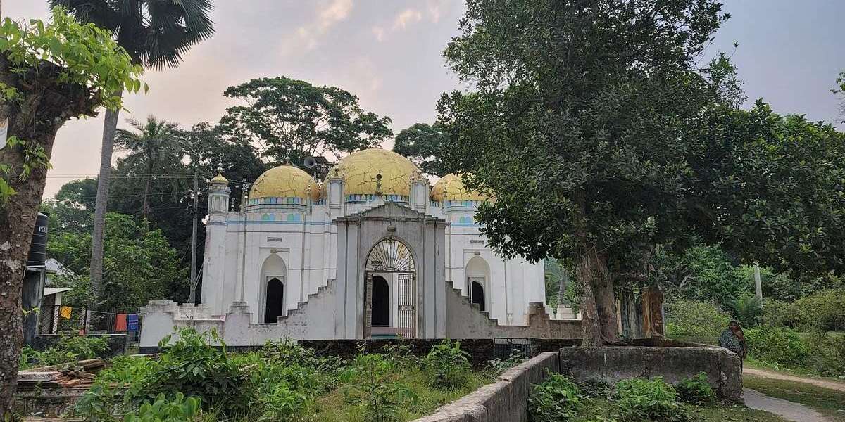 Opulence of the country: Take a tour from Saab Bari in Bakhtarnagar