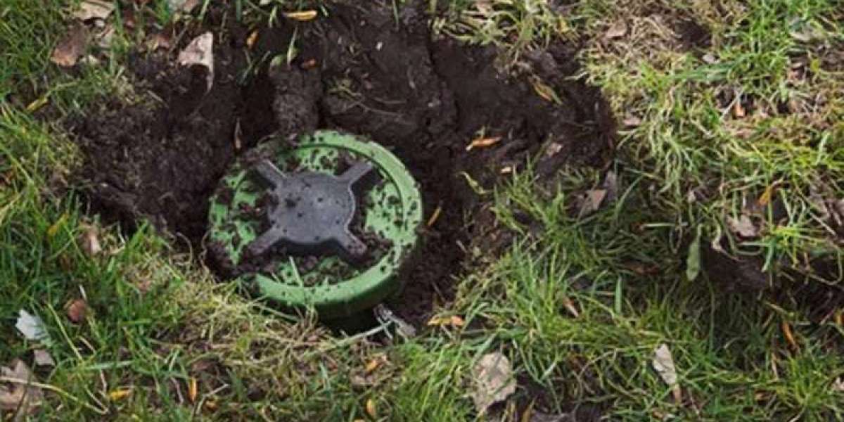 A Bangladeshi youth was injured in a mine explosion