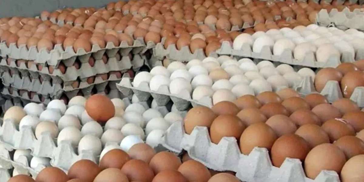 Hariloot by increasing the price of eggs and chicken