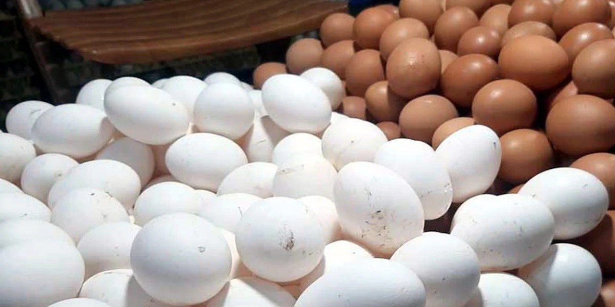 From Sunday, the consumer department will give eggs directly to 13 markets of the capital