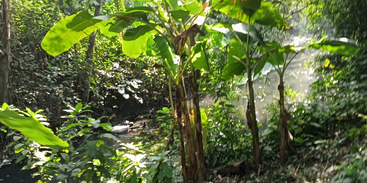 অতলে অন্তরীণ – ০৪