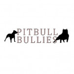 Pitbull Bullies