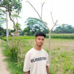 mim Islam Islam
