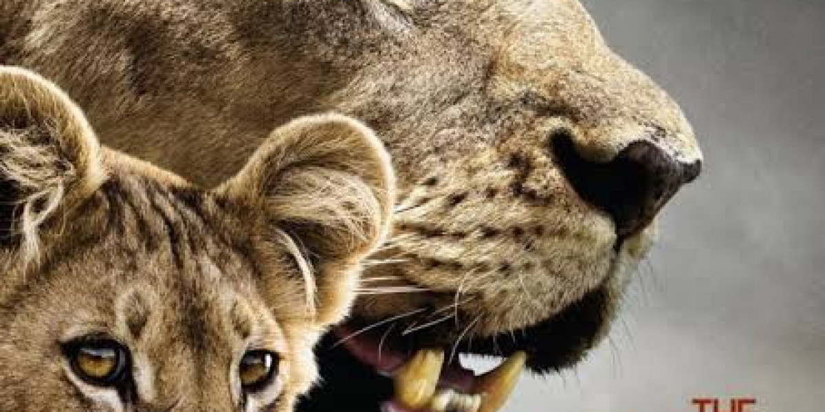 A Lioness’s Fight for Survival Begins