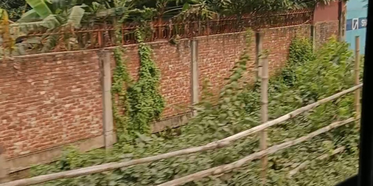 আমার সুন্দরবন ভ্রমনের গল্প