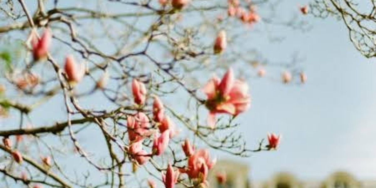 জ্ঞান জনক সেই করে রে জন্য