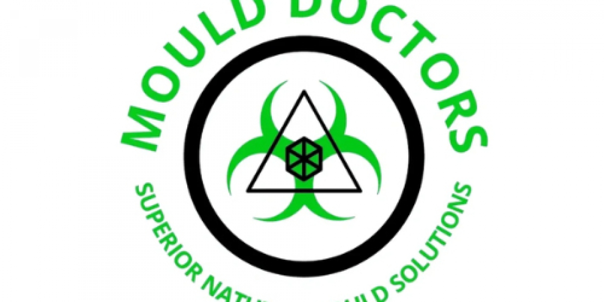 The Essential Guide to Mould Removal: Why Professional Services Matter