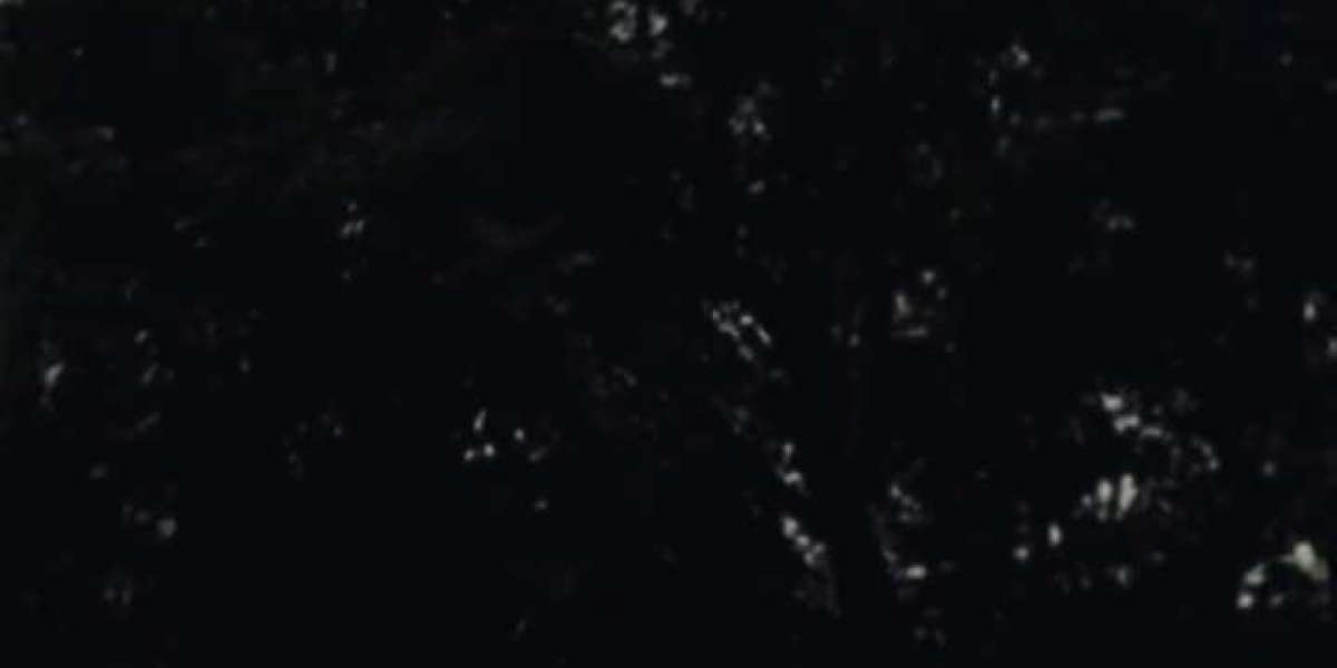 বই মেলা