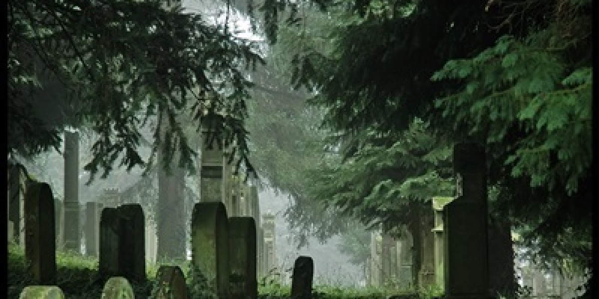 মাছের গল্প