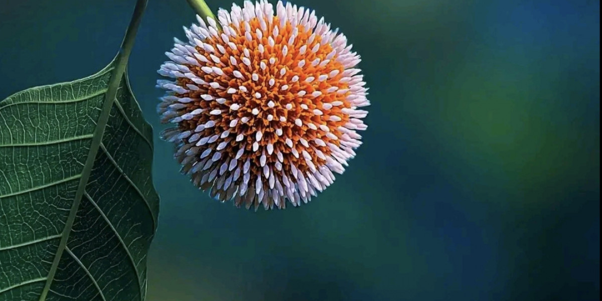 তোমাকে আজ অন্যরকম লাগে।