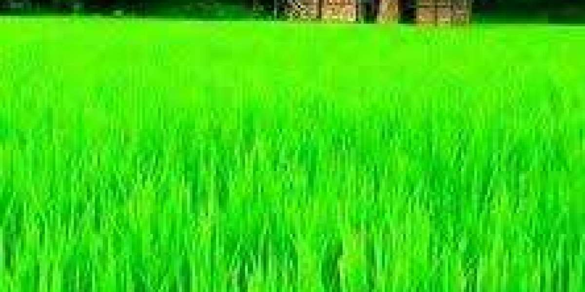 দান কেত