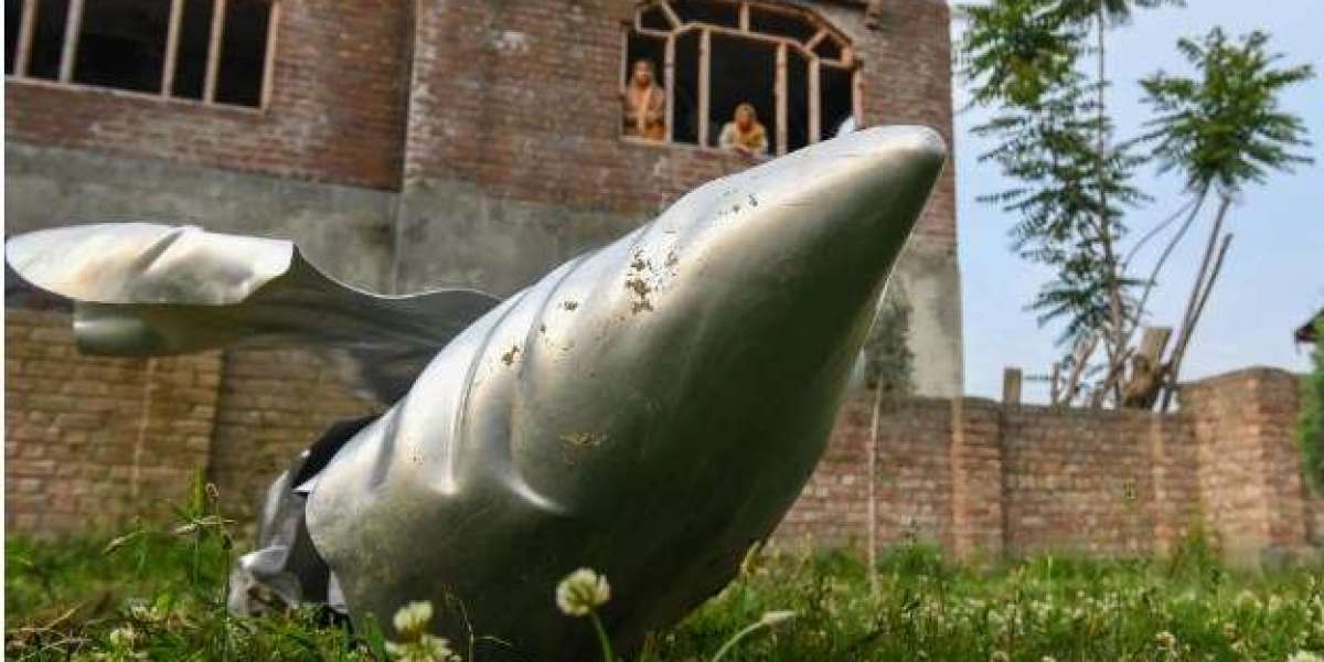 ভারত পাকিস্তানে হামলার পর বিশ্বনেতারা শান্ত থাকার আহ্বান জানিয়েছেন