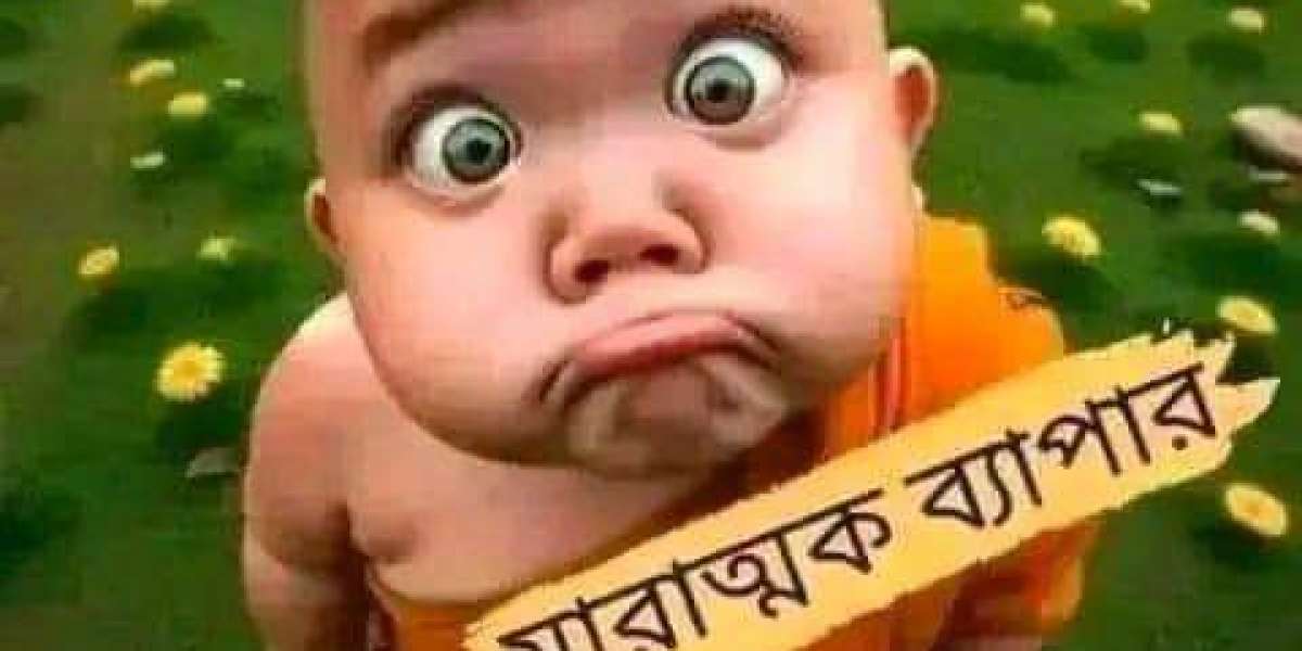 এক রাজার ও তার সাত রানির গল্প