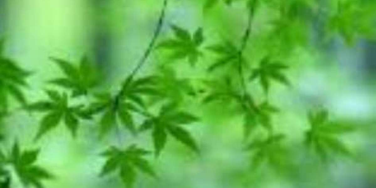 দান ও উদারতা: