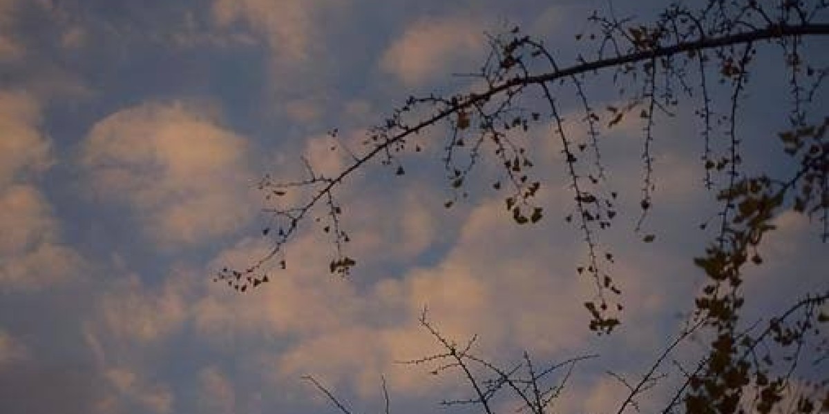 শূন্যতার রঙ