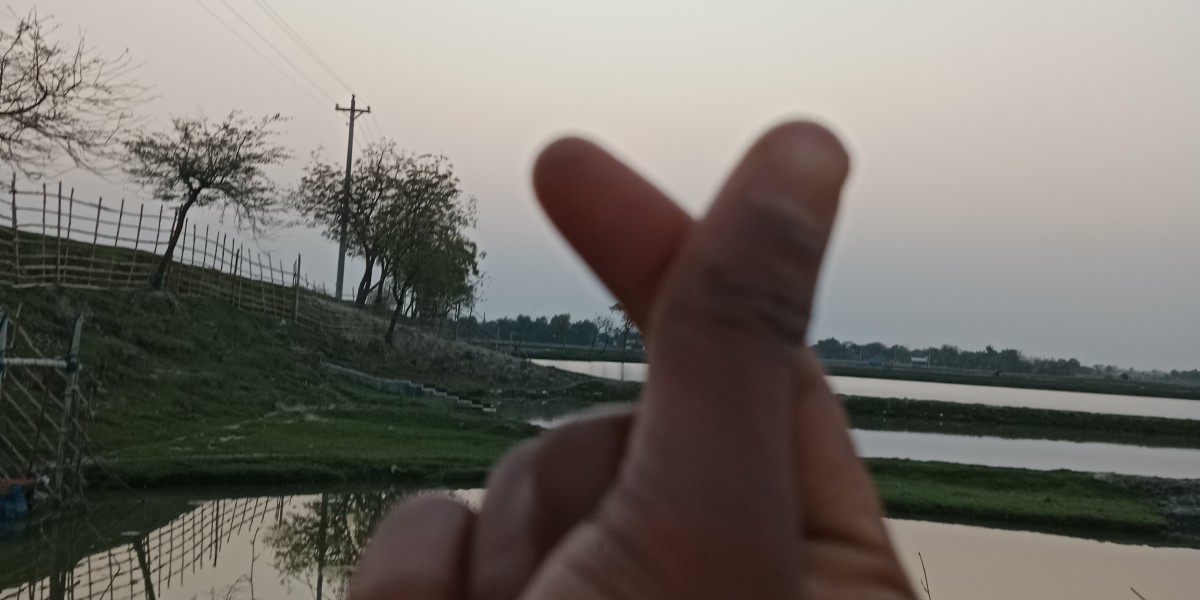 স্বাধীনতা দিবস