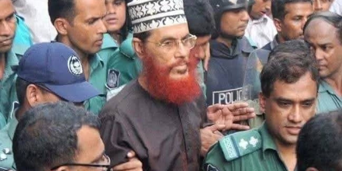 মাওলানা দেলোয়ার হোসেন সাঈদী