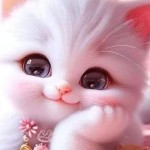 Md Soyad