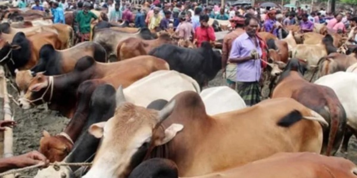 Sacrificial animal markets are bustling in