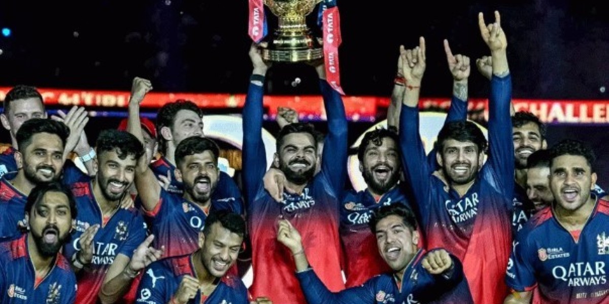 IPL 18th season champions at a