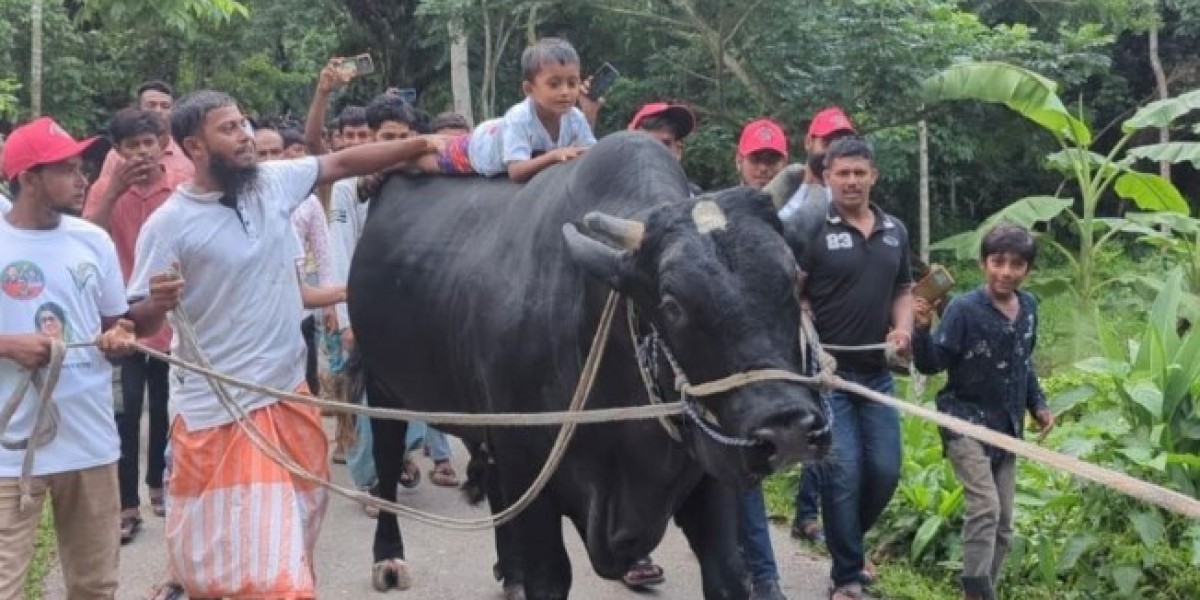 Shohag on the way to Khaleda Zia's