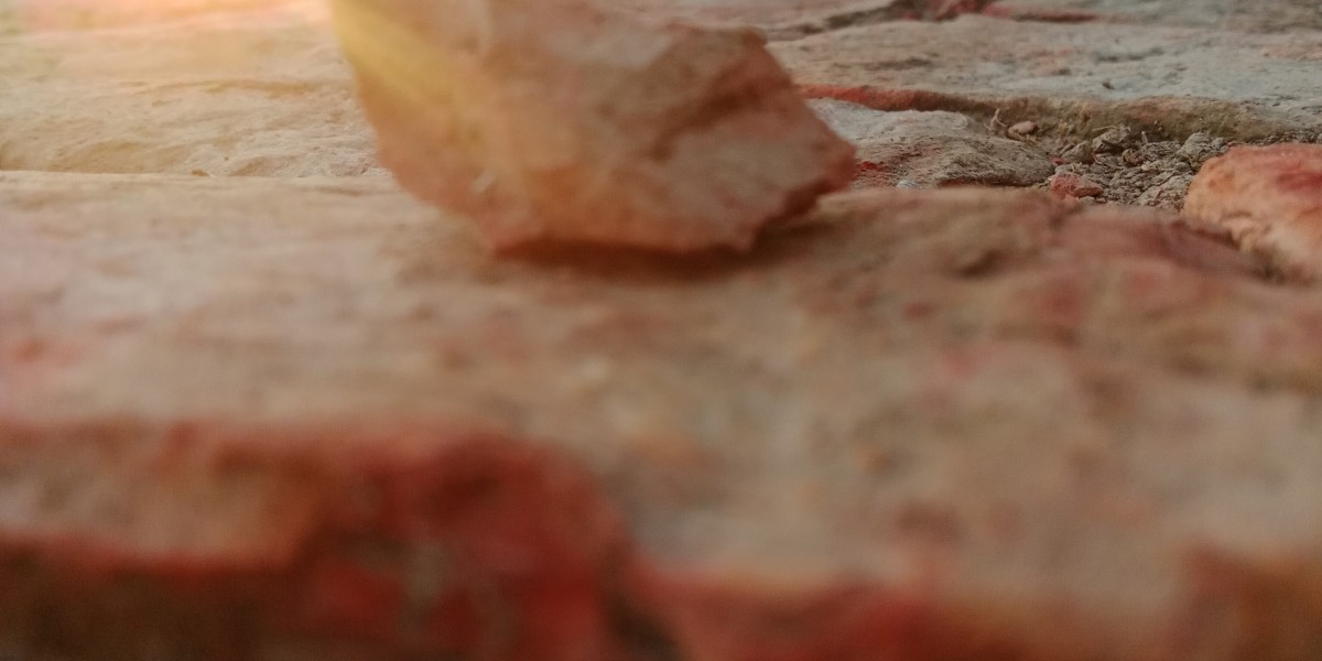 জলাভূমি ক্ষয় কিভাবে হয়।