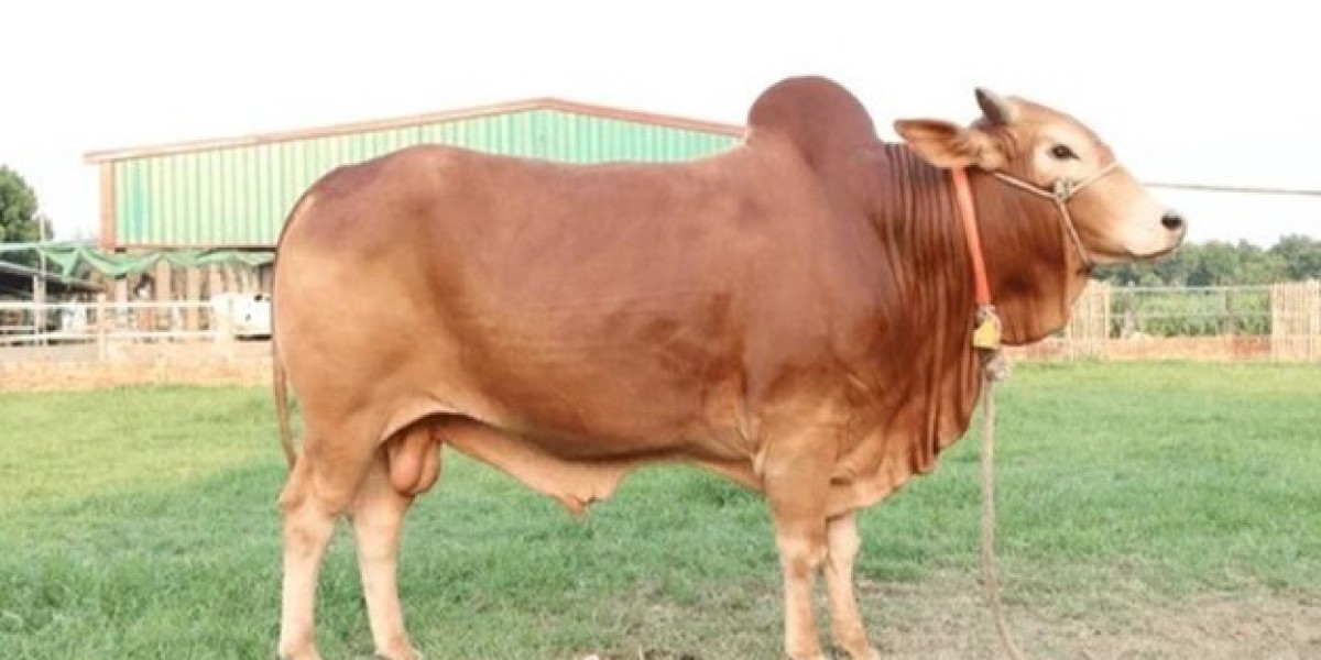 What to do if the sacrificial animal