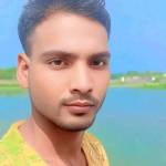 Arif MD Arif MD