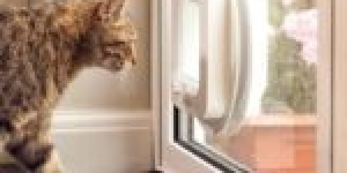 A Provocative Remark About Quick Cat Flap Installation