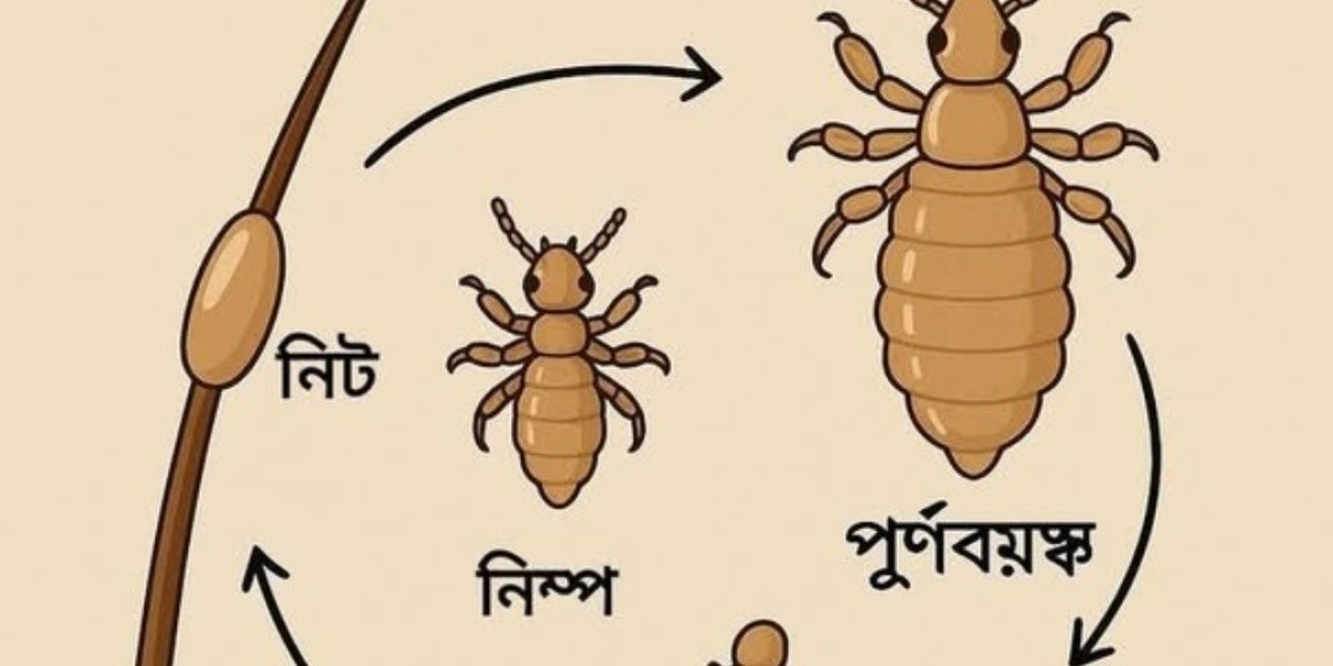 পৃথিবীর সবচেয়ে ব্যস্ত জীব? উঁকুন!