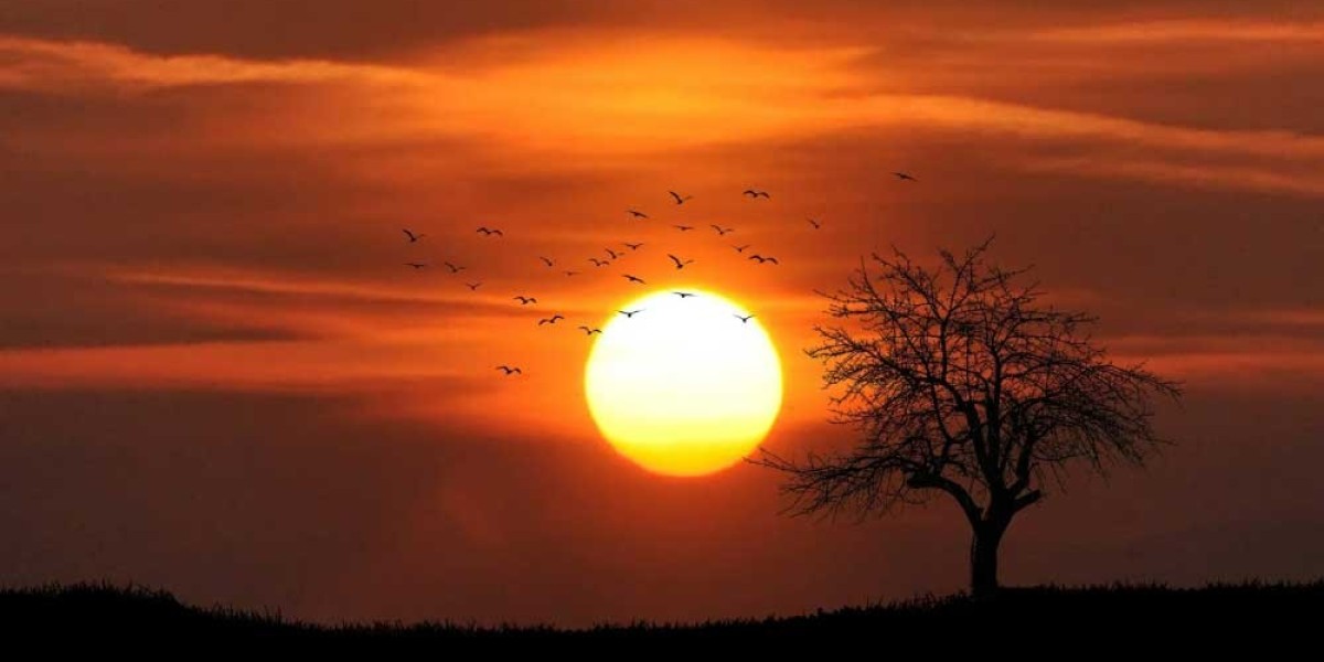 সূর্য