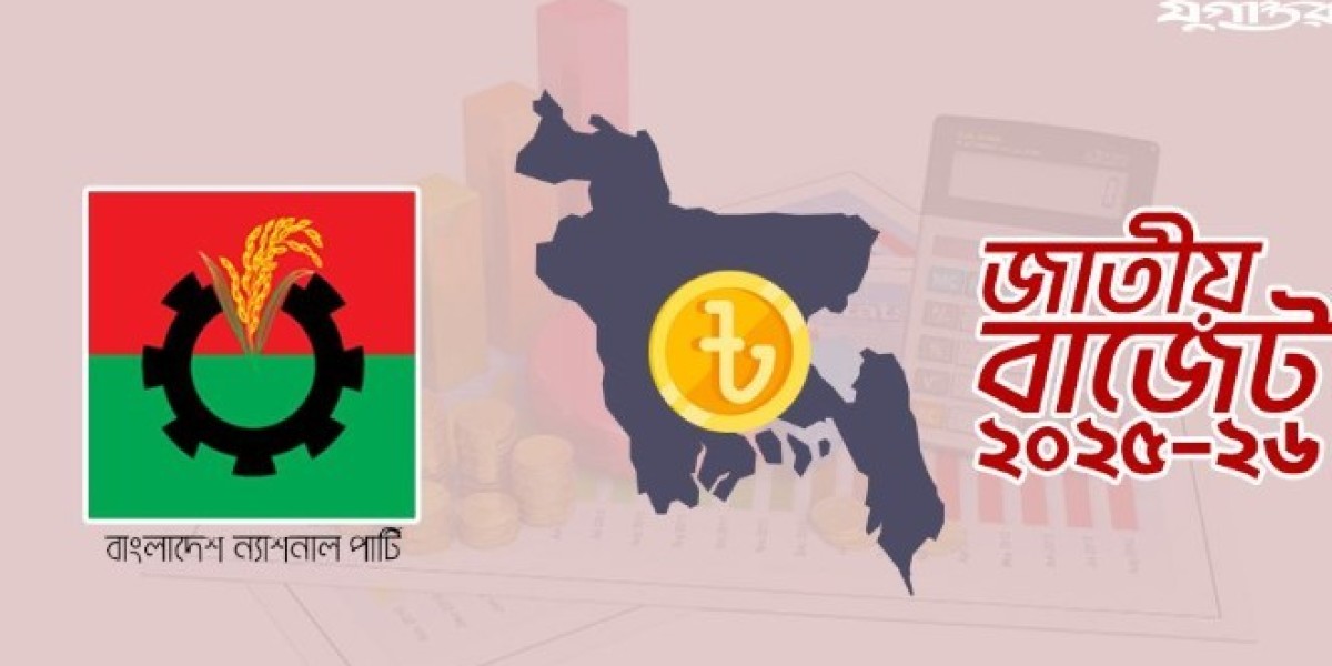 Government presented budget
