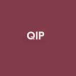Q Investment Partners