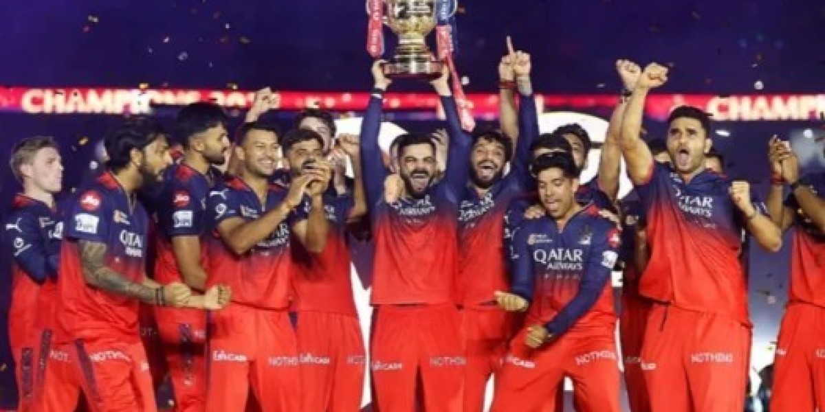 Who won how much prize money in IPL?