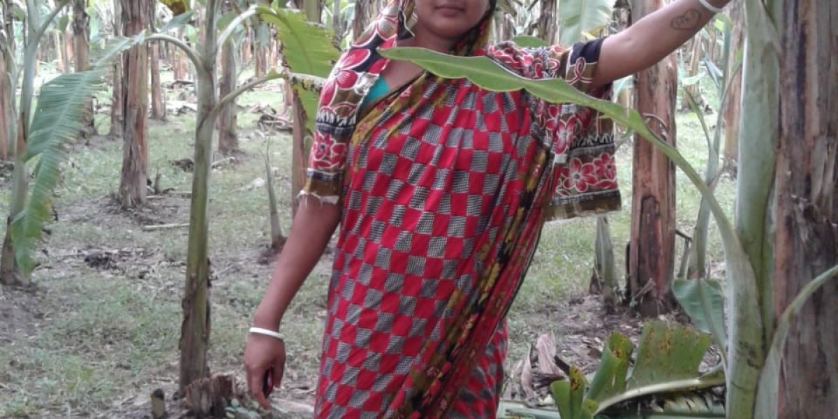 রেলগাড়ি