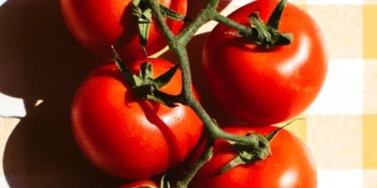 Tomato Recall Escalates to Highest Health