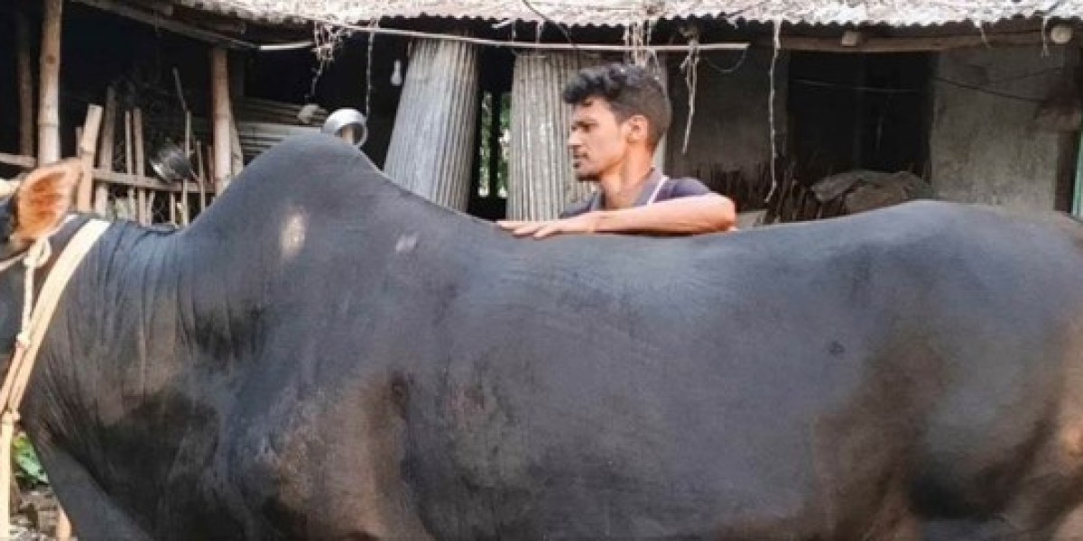 The sacrificial market in Lalpur