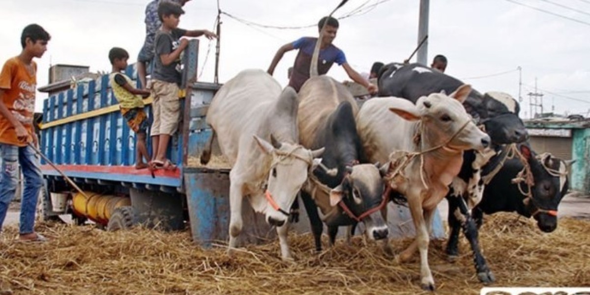 Sufficient livestock raised, sales