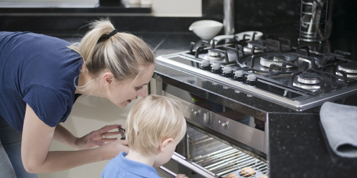 The One Built In Electric Oven Mistake That Every Beginner Makes
