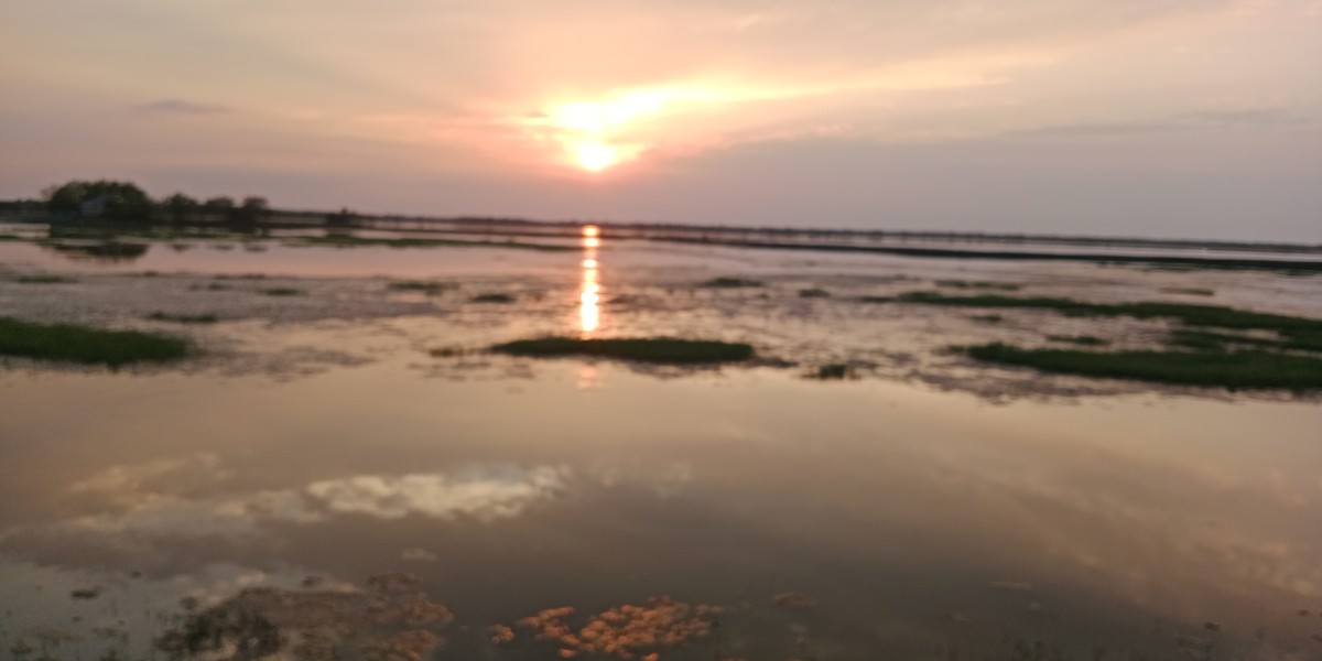 রক্ত রসে আমাদের শরীরে বিভিন্ন কাজ করে।