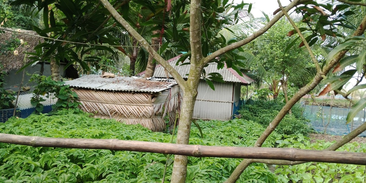 সুন্দরবন