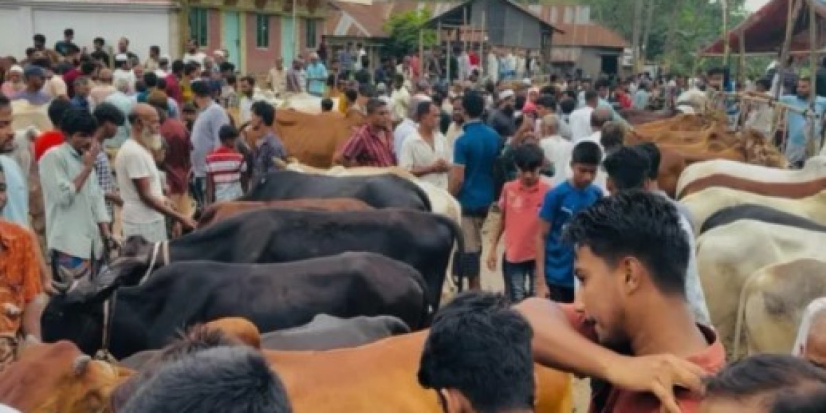Eid-ul-Azhar sacrifice and environmentally