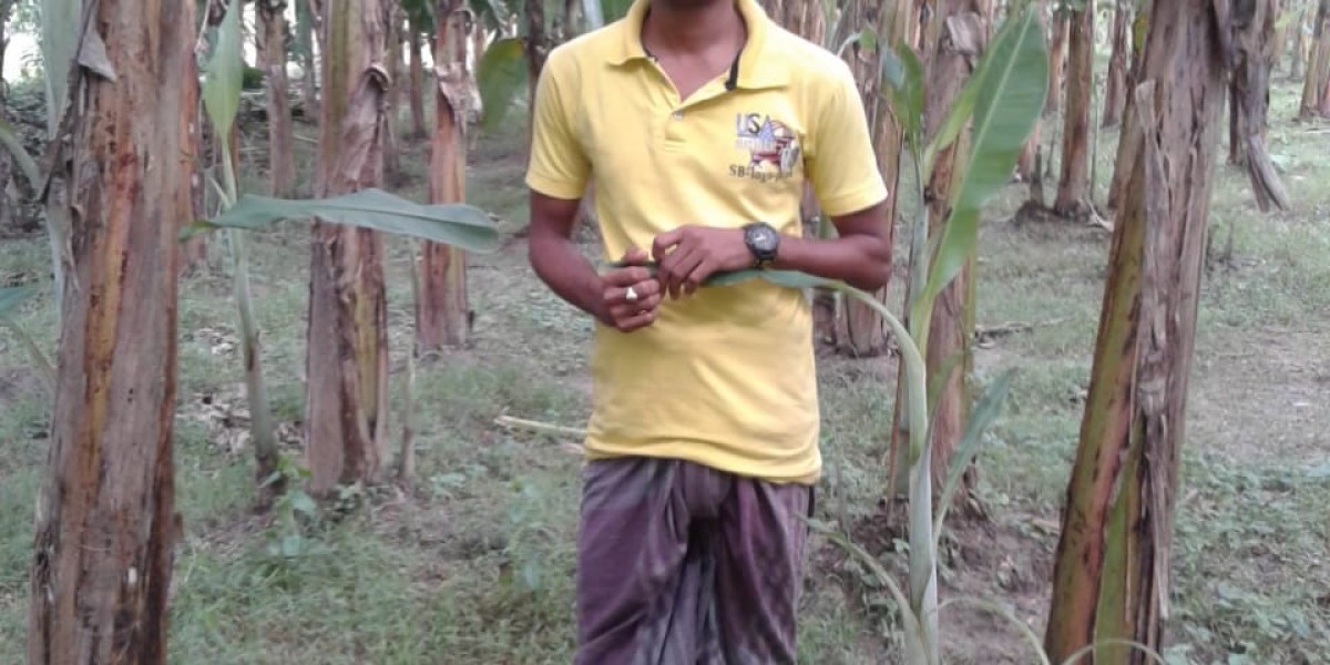 জাদুঘর